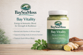 Bay Vitality - Energy & Immunity Support